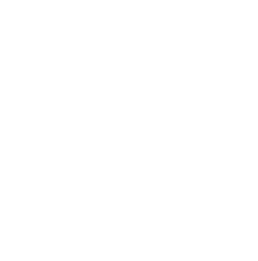 Double Bear Premium Concentrates